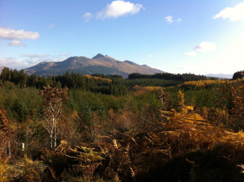 Tanglewood Lodge Taynuilt Kültér fotó